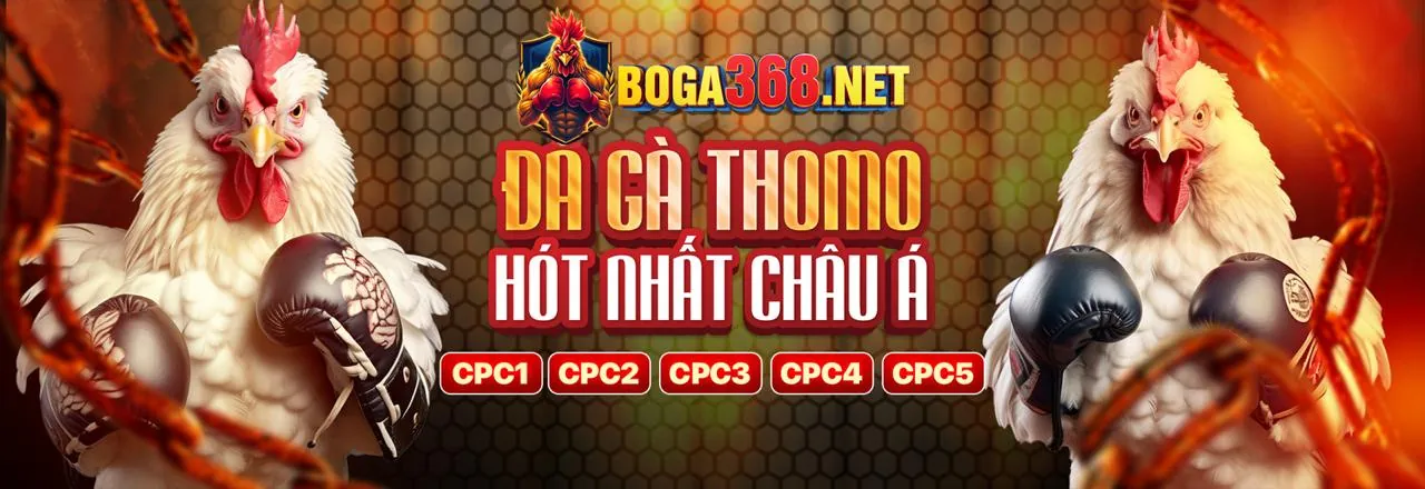 Hướng dẫn đặt cược đá gà tại 98win10
